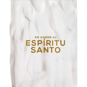 Spanish Kindle eBook by Vida Accessible 193 Page Christian Living Book-0