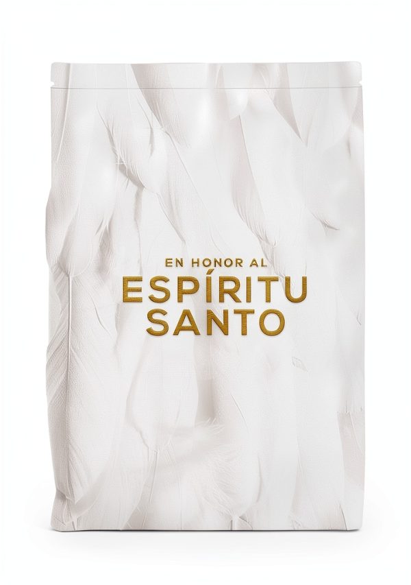 Spanish Kindle eBook by Vida Accessible 193 Page Christian Living Book-0