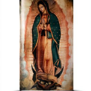 Mariology eBook Spanish Kindle by Catholic Books 109 Pages 6.5 MB-0