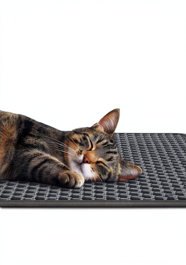 Cat Litter Mat - 23.2" x 14.6" Small Litter Box Mat with Double Layers, Urine-Proof and Non-Slip Litter Trapping Mat, Easy to Clean Kitty Litter Mats for Floor, Scatter Control, Grey-2